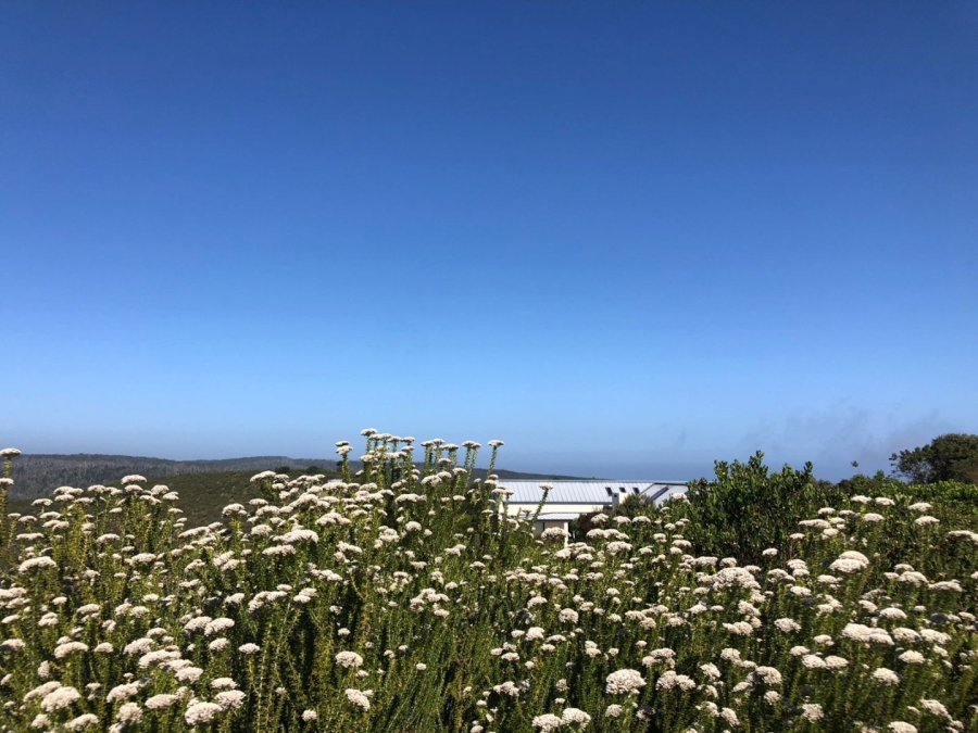  Bedroom Property for Sale in Pezula Private Estate Western Cape